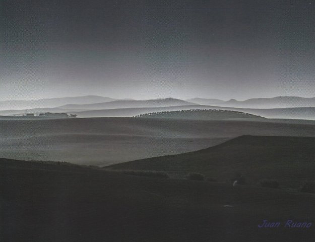 Paisaje (2)